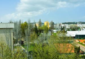 Orchid House - T1 Apartment