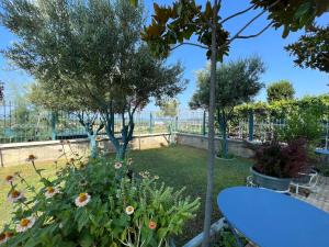 Villa Luiss Panorama