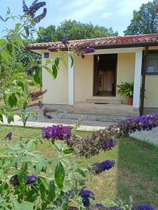 Apartment studio TA-TI