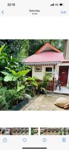 Garden Hut - 安塞奥潘