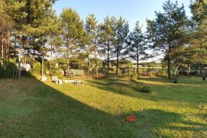 Trójmiasto nad jeziorem DOM -ECHOCHATA