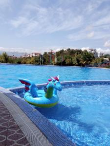 Appartement hôtel cabo dream - Ubytování bez kategorie ve městě Cabo Negro