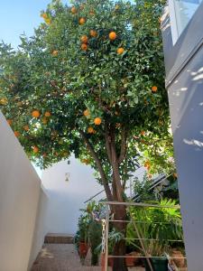 VILLA CERRO E MAR Apartement