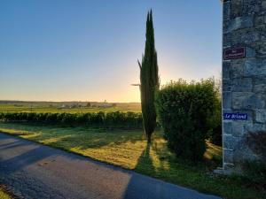 Maisons de vacances Fleurs de vigne, gite charentais au grand coeur : photos des chambres