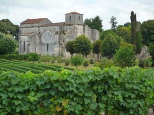 Maisons de vacances Fleurs de vigne, gite charentais au grand coeur : photos des chambres