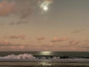 Flat Beira mar no Beach Class - Porto de Galinhas