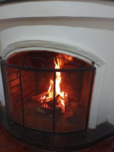 Casa flora Bed and Breakfast