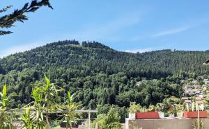 WiLDBADFERiEN DE