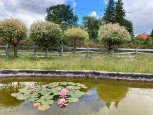 Potęgówka wege Kaszuby