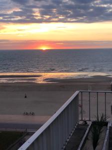 Sea-Senses comBlue Moon