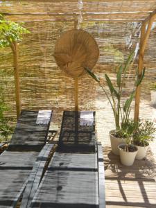 Maisons d'hotes Magnifique Cabanon face au Garlaban a Aubagne : photos des chambres