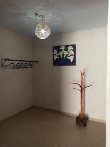 Casita Mahahual, Grand Costa Maya