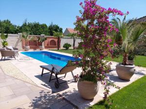 Dr Becsey Luxury Apartman