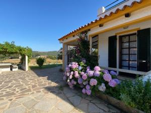 Casa di Campagna in Gallura img7