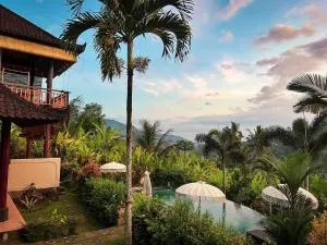 阿尔塔纳迪别墅酒店 - 希德门