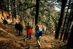 Banjara Retreat and Cottage Sojha