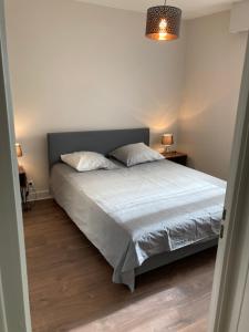 Appartements Charmant et hypercentral : photos des chambres