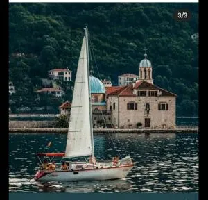 Apartment Villa Radovic II - Strp