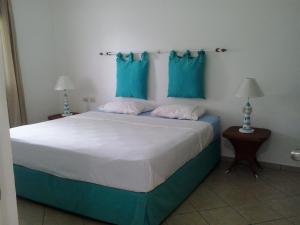 Caraibidamari 1