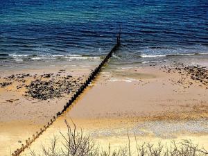 Gone To The Beach Flat 1