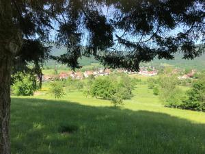 Appartements Gite Leonline sur les hauteurs de Masevaux -au pied des Vosges : photos des chambres