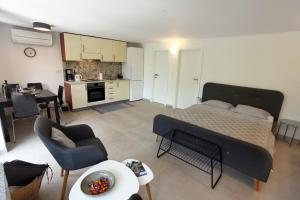 Modern Apartment Parenzana IZMA