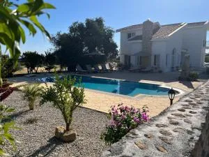 Villa Zeytin - Larnaka