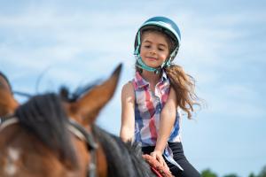 Pod Dębami Domki ,Pokoje,Nauka jazdy konnej Sarbsk obok Łeby