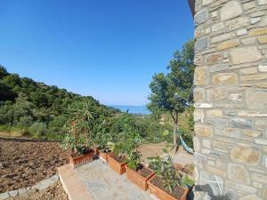 Agriturismo Le Terre di Veneré