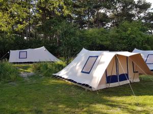 Ameland Tentenverhuur
