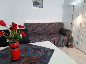 Apartment Siofok, Lake Balaton 6