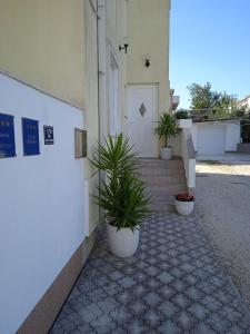 Apartments Blazenka