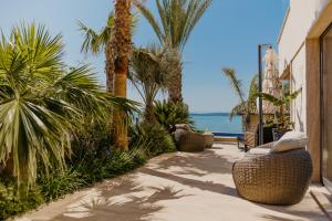 Villa Bloomhill Escape