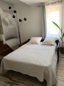 Les dahlias appartement 4 personnes Jacuzzi Barbecue Jardin arboré Climatisé