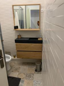 Les dahlias appartement 4 personnes Jacuzzi Barbecue Jardin arboré Climatisé