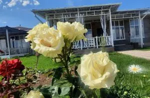 Уютный коттедж на берегу Иссык-Куля, Киргизия - 乔克-塔尔