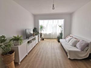 Apartamentul cu plante Etaj 4