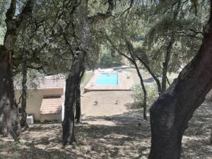 Appartements Gites Carbuccia en Corse avec piscine chauffee : photos des chambres