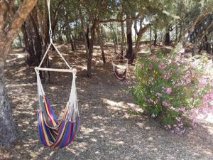 Appartements Gites Carbuccia en Corse avec piscine chauffee : photos des chambres