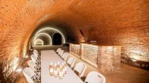 Apartmány Habánská, celý dům - Popice