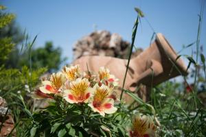 Karyoupolis Lounge Cave House