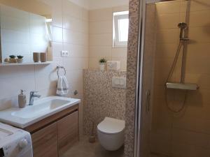 Apartment Anton