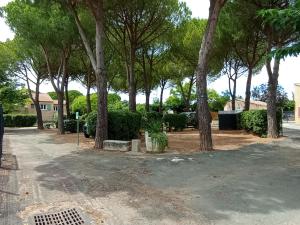 Campings Complexe Touristique du Soleil : photos des chambres