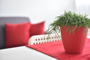 Apartment mit Balkon