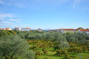 Double Room Standard room in Apartment and Rooms Ivana