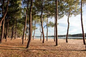 Appart'hotels Residence Hoteliere les Acanthes : photos des chambres