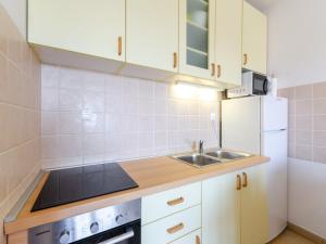 Apartment NENAD 