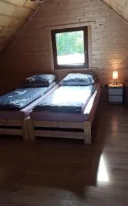 Przytulisko - Główczyce