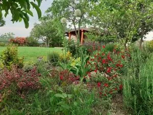 Gatti di Langa - Pezzea