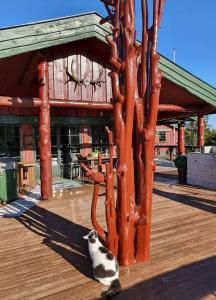 DaVita Ranch